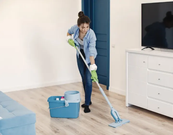 Femme de ménage Hartzviller